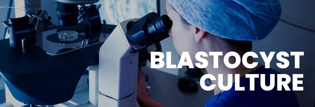Blastocyst Culture in Delhi NCR | Fertijoy IVF Center