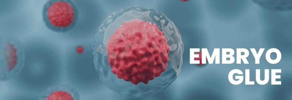 Embryo Glue Treatment in Delhi NCR | Fertijoy IVF Center