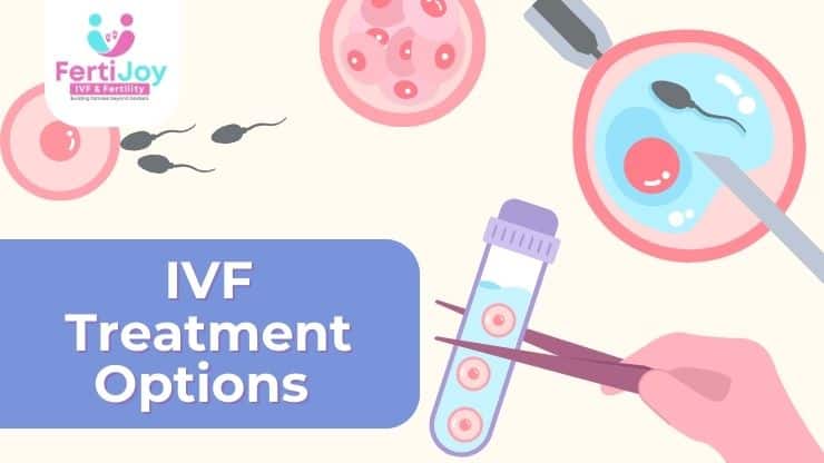 IVF Treatment Options