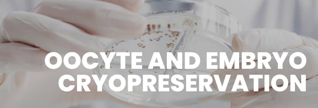 Egg & Embryo Freezing in Delhi NCR | Fertijoy IVF Center