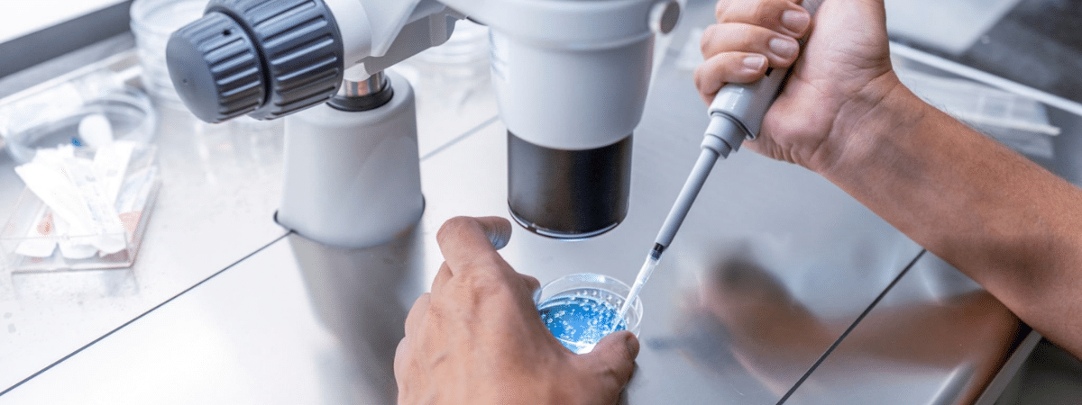 Embryo Cryopreservation